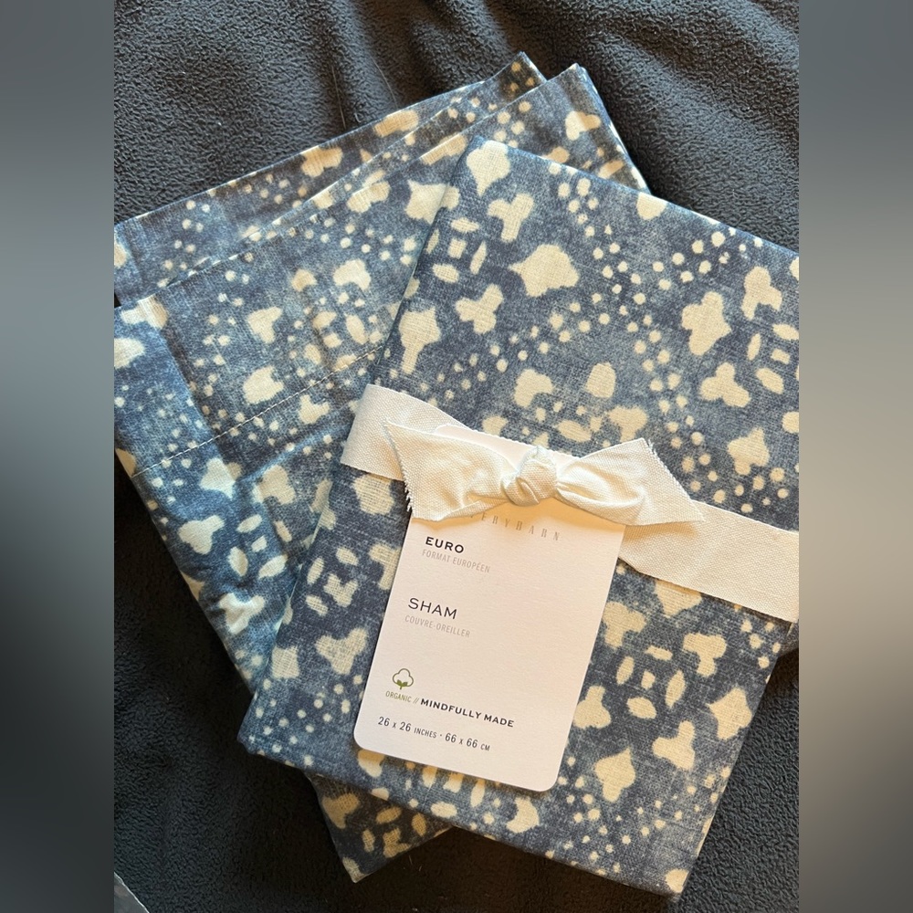 NWT - 2 Pottery Barn Leada Euro Shams